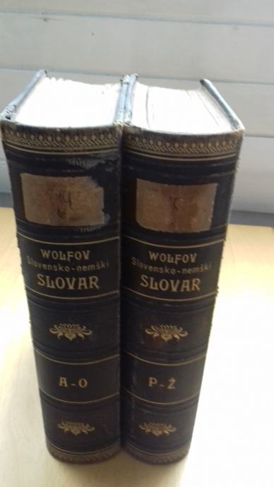 Pleteršnikov slovensko-nemški slovar v 2 knjigah, 1894