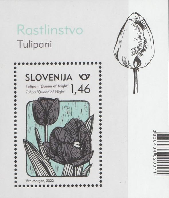 SLOVENIJA 2022 - ( blok 142 )  ČRNI TULIPAN