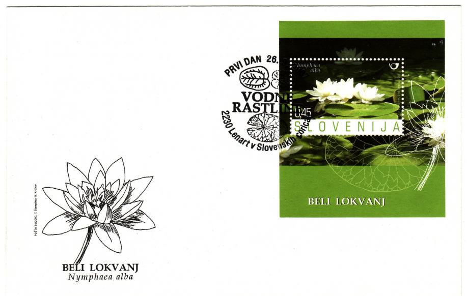 SLOVENIJA. KUVERTA FDC, BELI LOKVANJ  2007