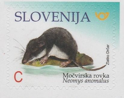 SLOVENIJA - (MI.1319)  MOČVIRSKA ROVKA