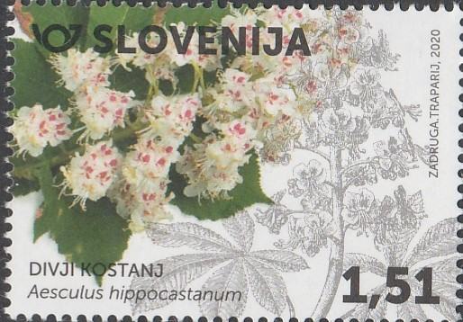 SLOVENIJA - (MI.1415)  DIVJI KOSTANJ