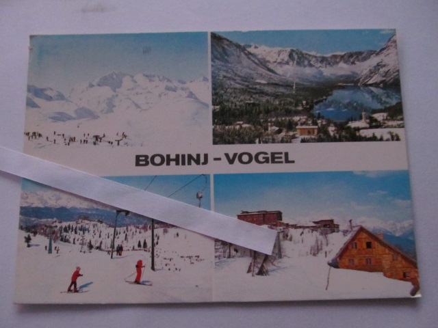 BOGHINJ-VOGEL- potovala