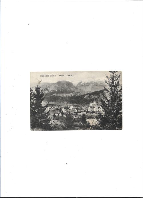 Bohinjska Bistrica-panorama (505)