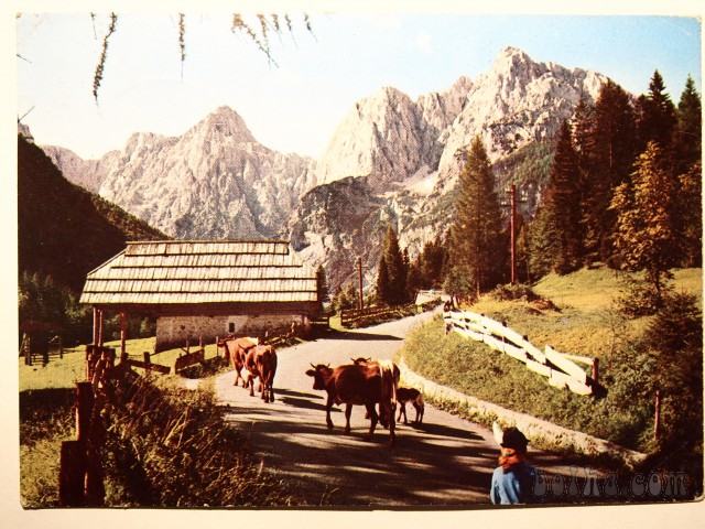 Razglednica KRANJSKA GORA