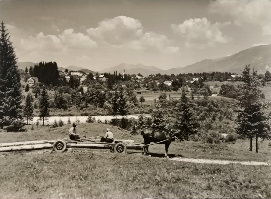 RIBNO PRI BLEDU 1960 - Konjska vprega