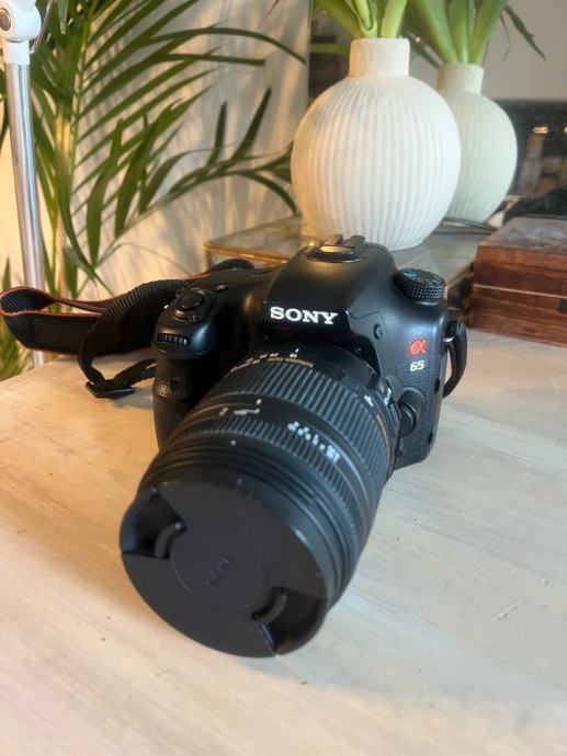 Sony a65