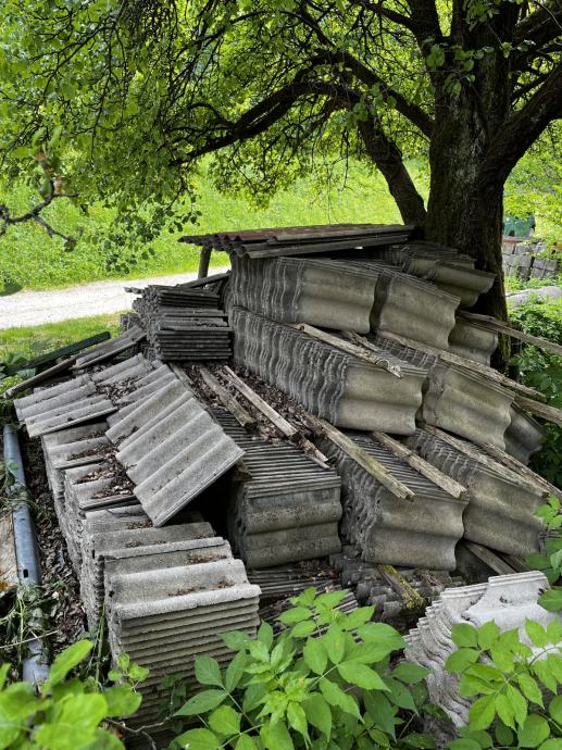 Podarim strešnike tegola