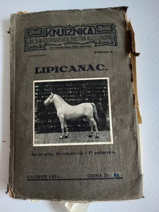 Lipica Lipicanec konji