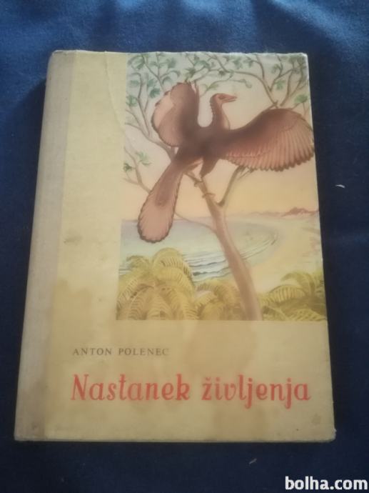 Nastanek življenja