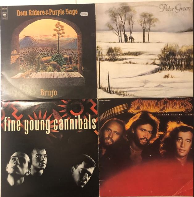 Vinilke FINE YOUNG CANNIBALS, PETER GREEN, BEE GEES + 1