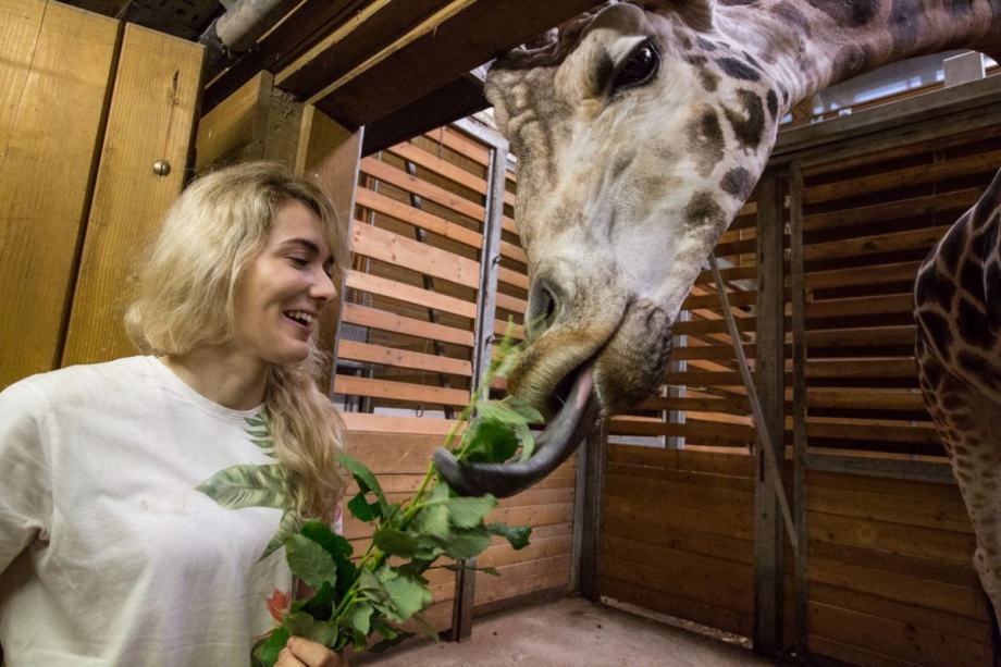 Vstopnica ZOO Ljubljana SPOZNAJ NAJ ŽIVAL + otroška vstopnica GRATIS