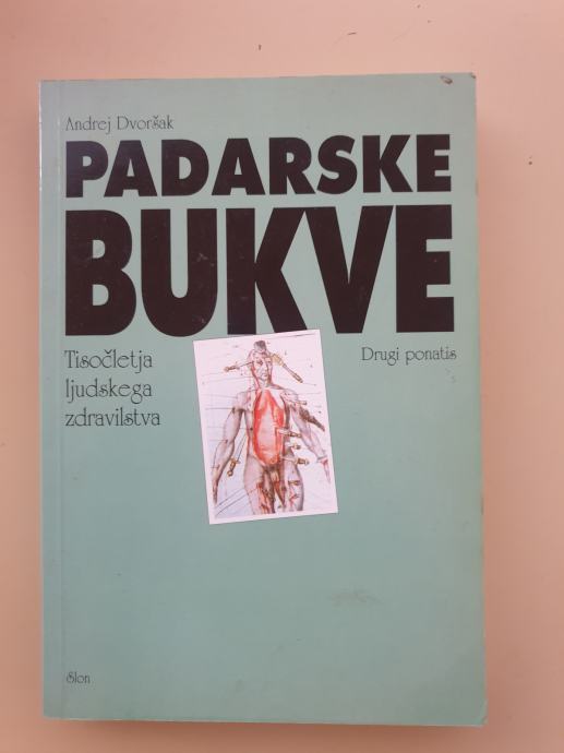 Andrej Dvoršak - Padarske bukve