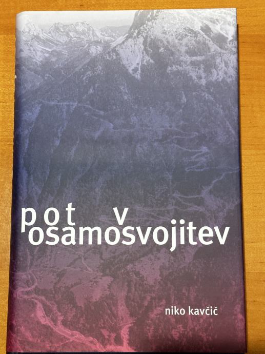 Pot v osamosvojitev, Niko Kavčič