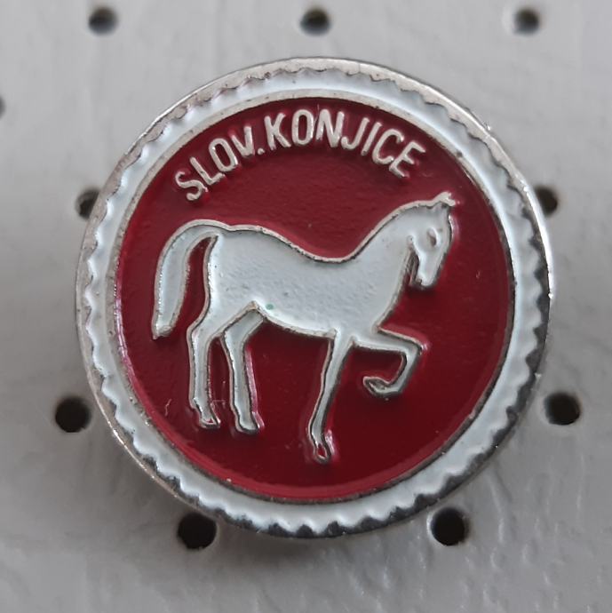 Značka SLOVENSKE KONJICE grb slovenska mesta