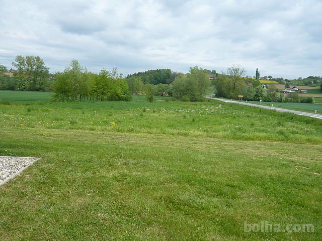 Posest,Podravska,Destrnik,Janežovci,zazidljivo,3000m2,prodam